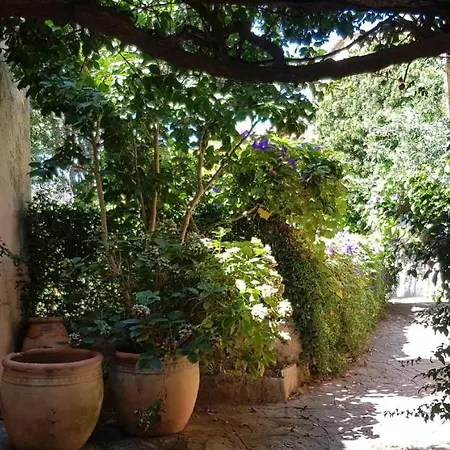 De Charme, Coup De Coeur Au Pied Du Magnifique Village De Bormes-les-Mimosas